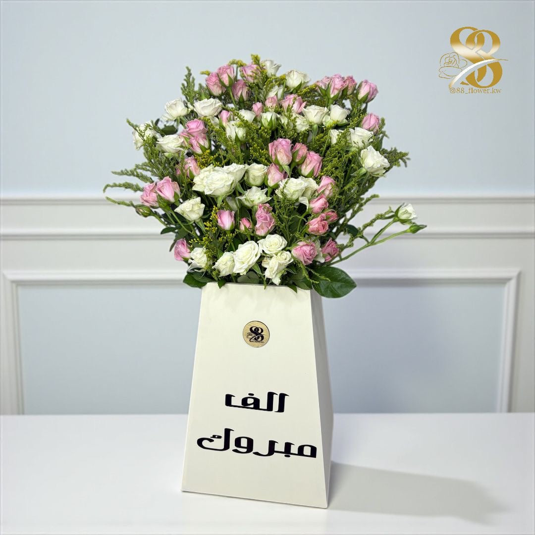 بوكس الهرم🤩