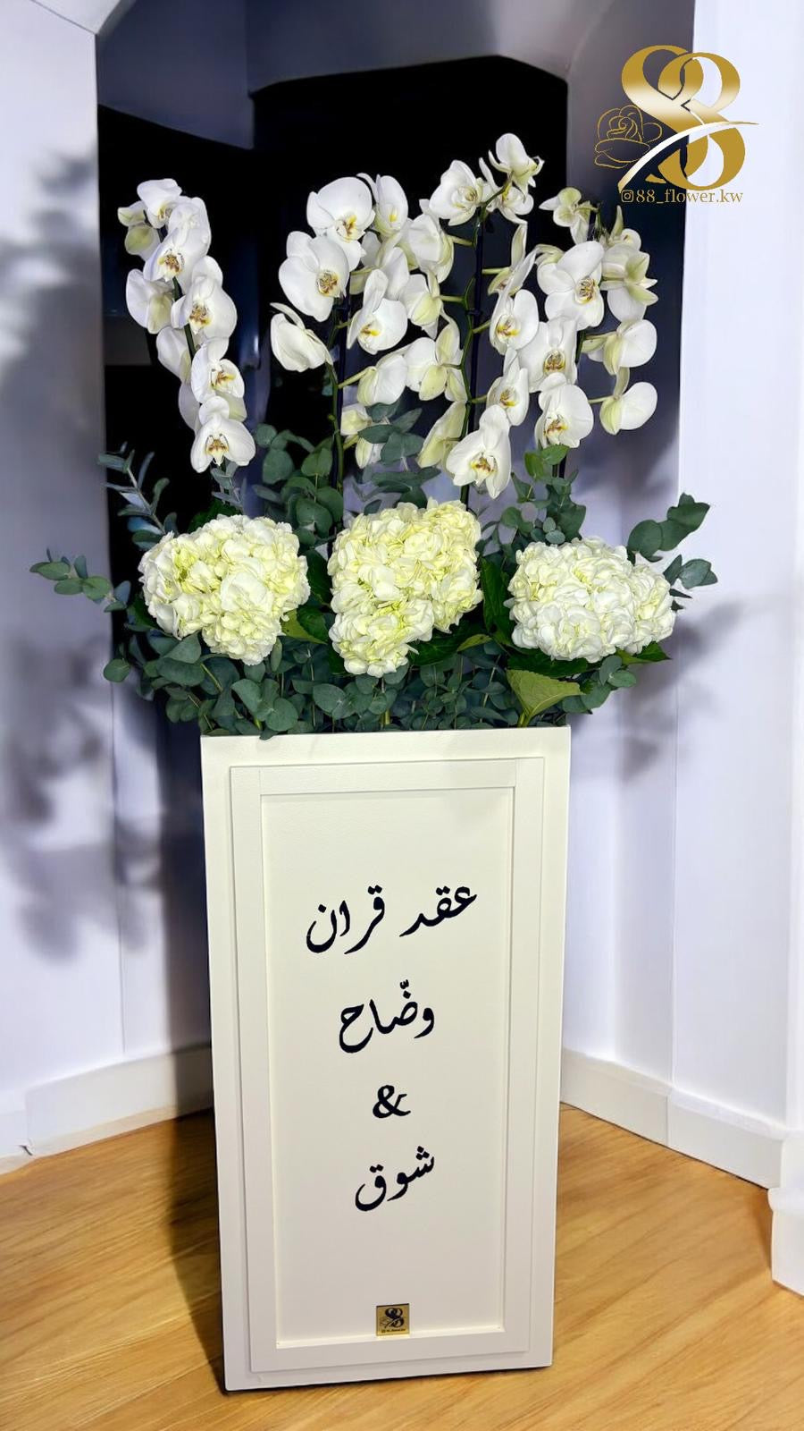 بوكس اوركيديا الكبير