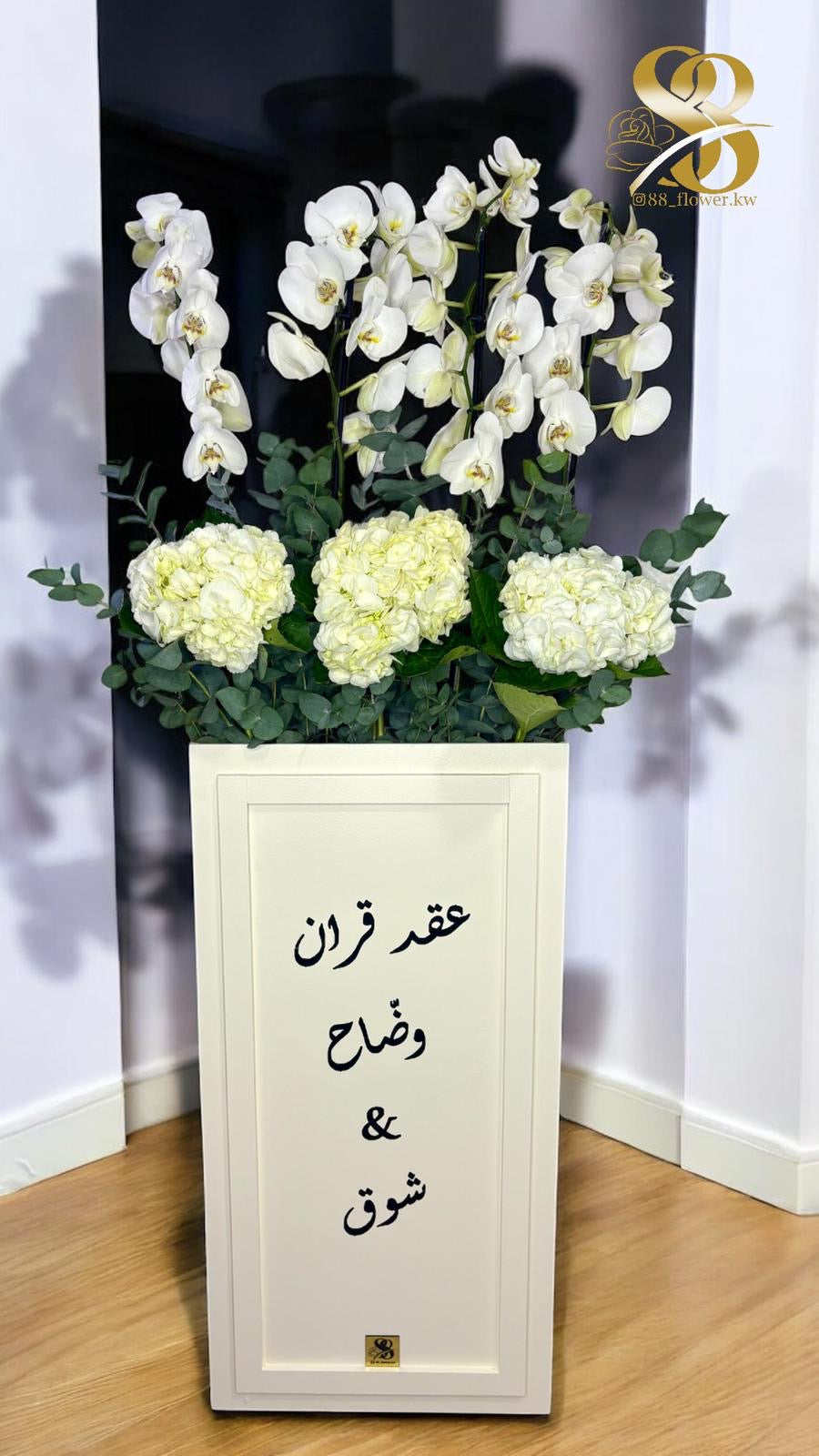 بوكس اوركيديا الكبير